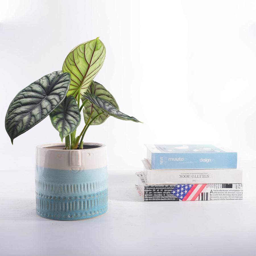 Decorative plant pot with facial features Bowlift
