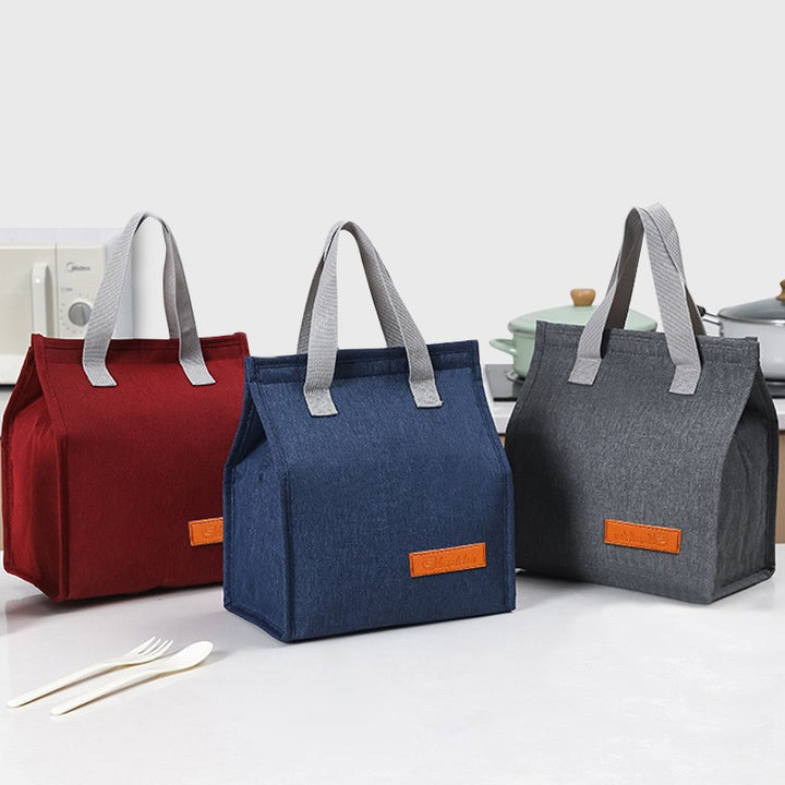 Portable Insulated Lunch Carrier