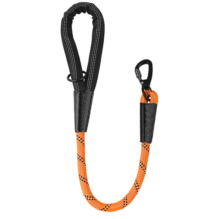 Dog Leash