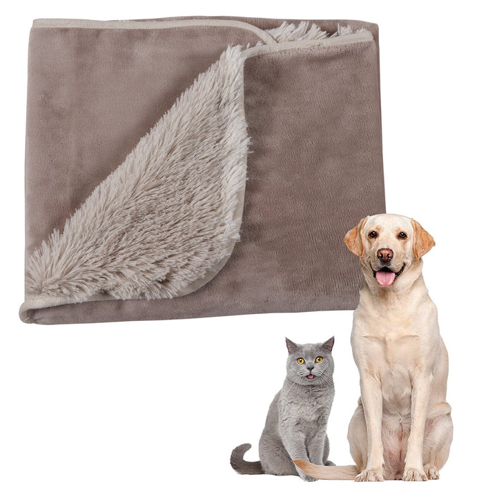 Pet Blanket Bowlift