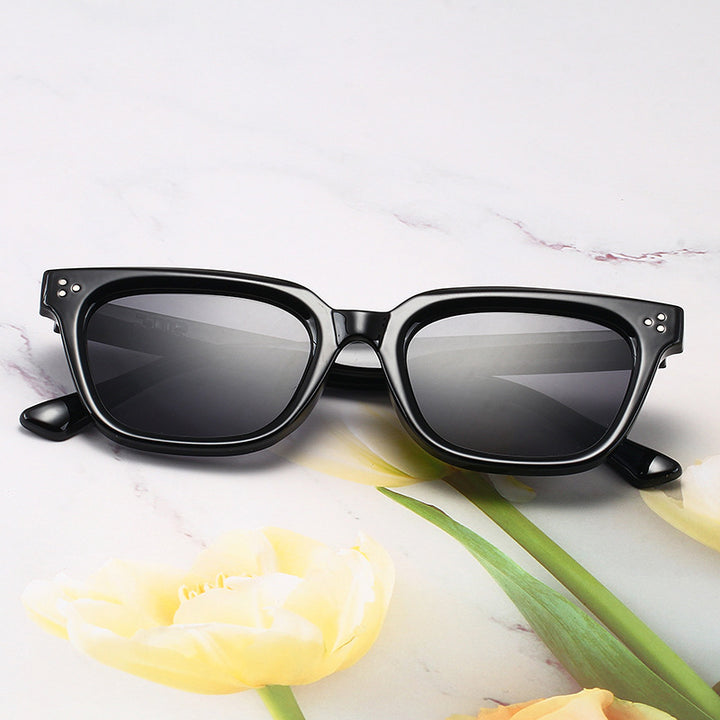 Fashionable Acrylic Sunglasses in Modern Design Bowlift