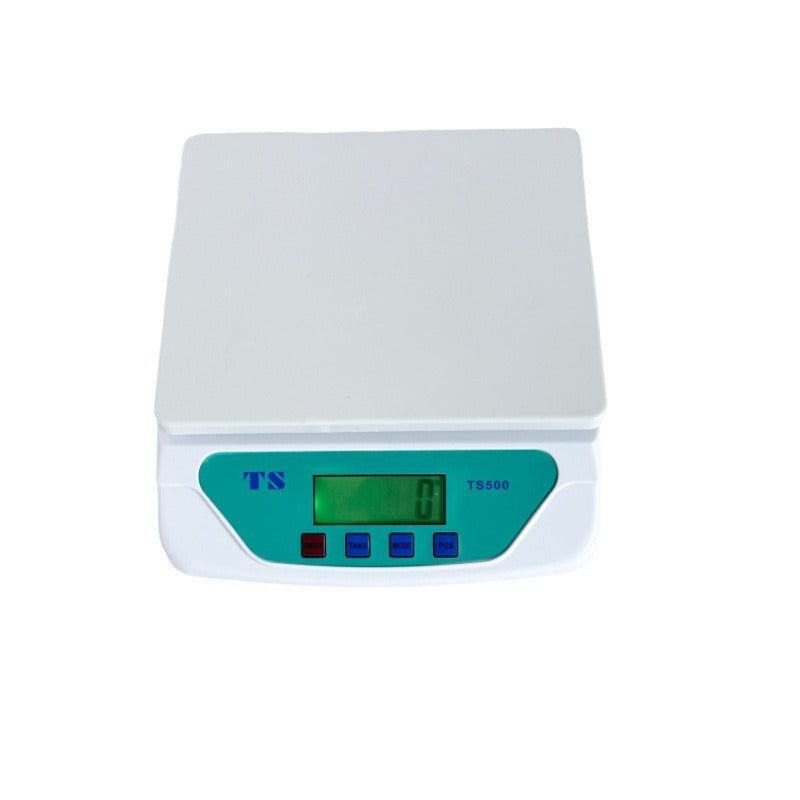Digital Precision Weighing Scale