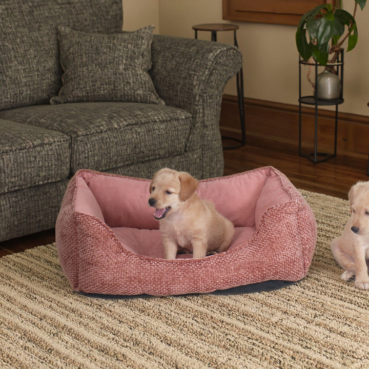 Dog bed