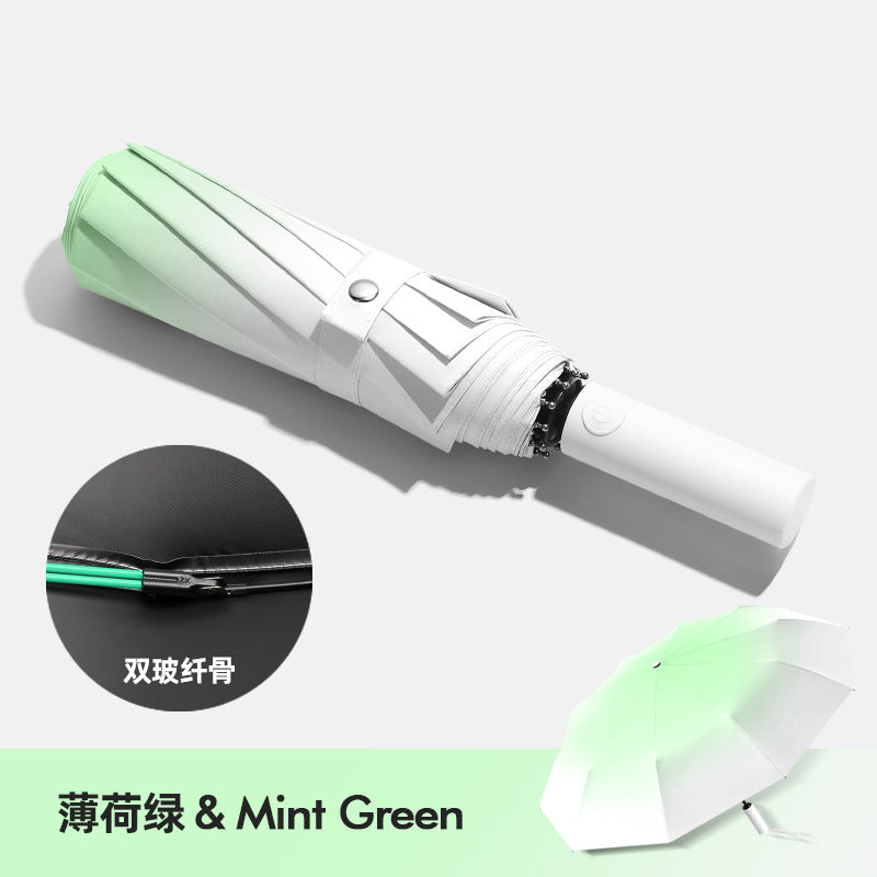 Women Folding Umbrella Bowlift