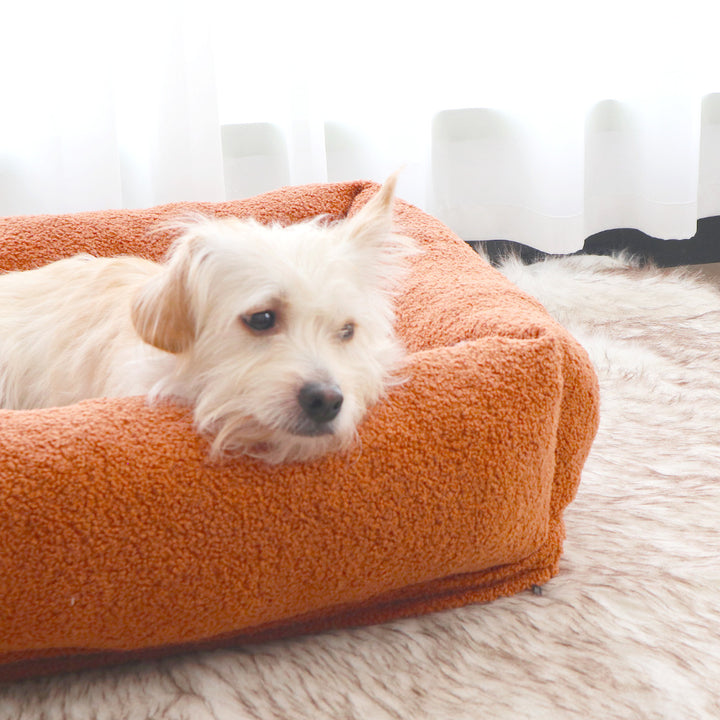 Cozy Bolstered dog Nest