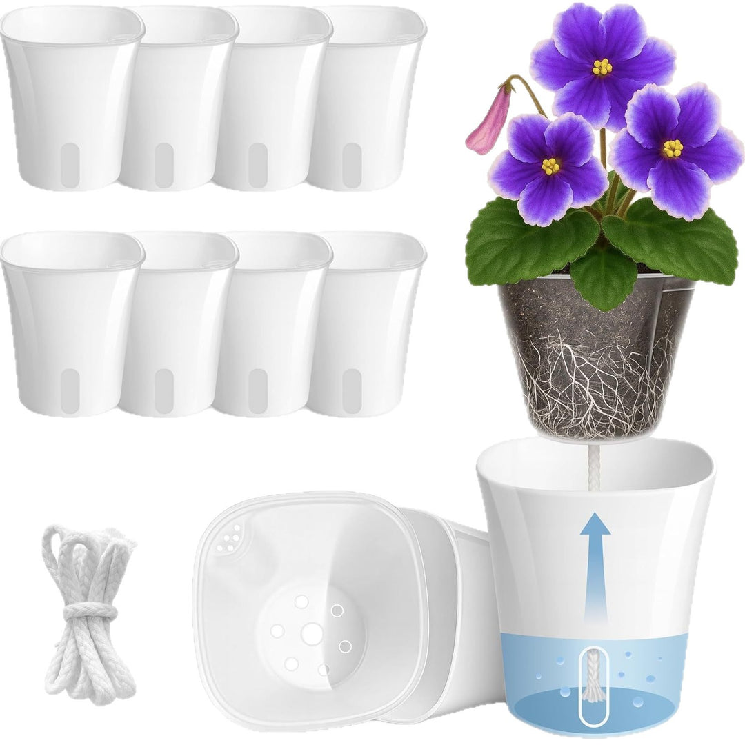 Self-Watering Plant Pot Set Bowlift