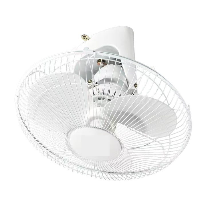 Ladies ceiling fan Bowlift
