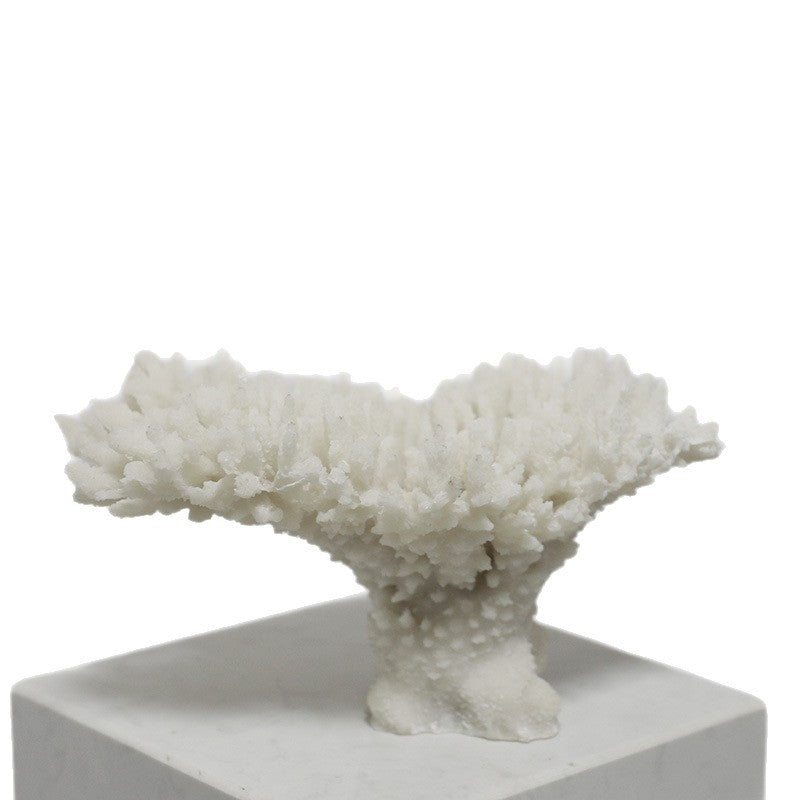 Coral-Inspired Decorative Centerpiece
