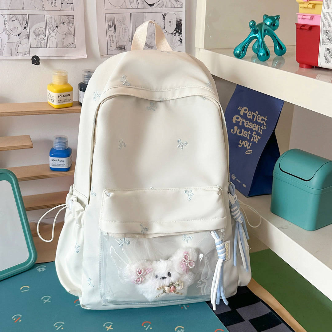 Functional Transparent Backpack