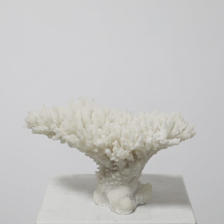 Coral-Inspired Decorative Centerpiece