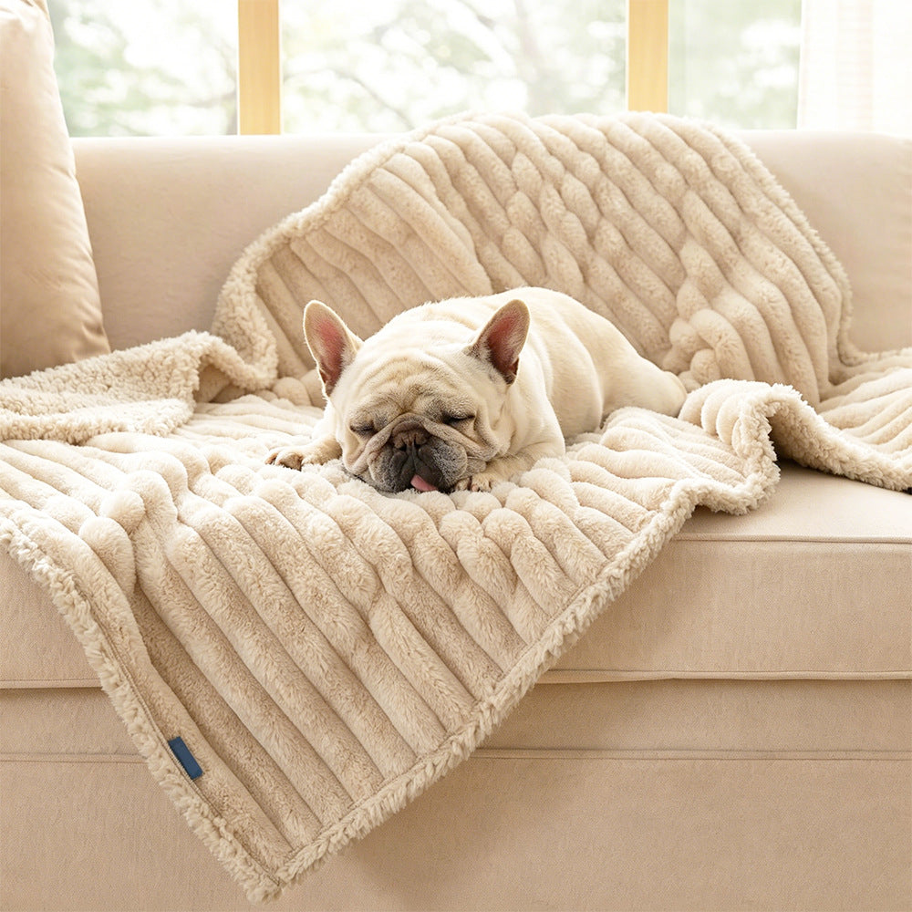 Cozy Plush dog Blanket