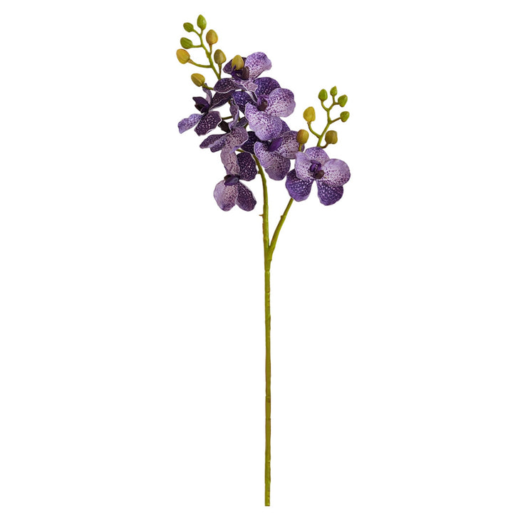 Elegant Orchid Stems Bowlift