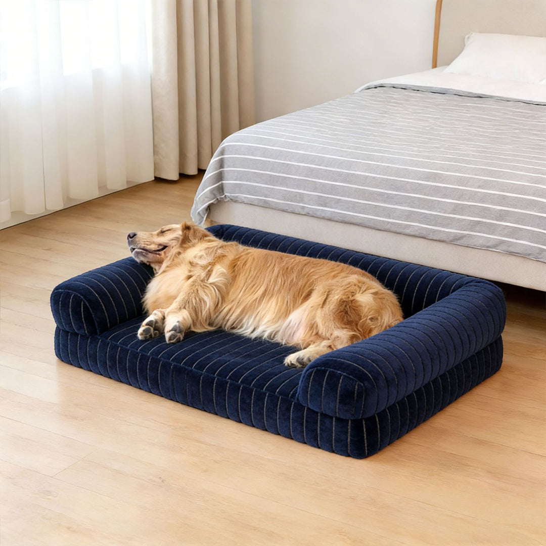 Elegant Bolstered dog Sofa