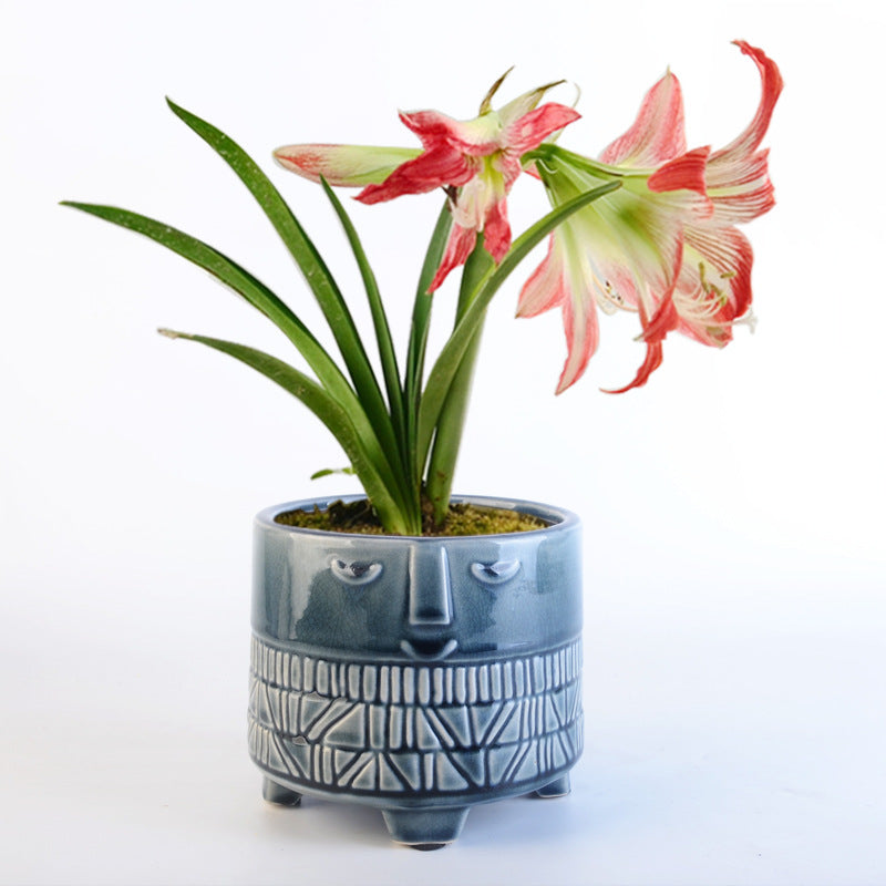 Decorative plant pot with facial features Bowlift