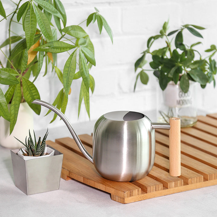 Stylish Ergonomic Watering Can