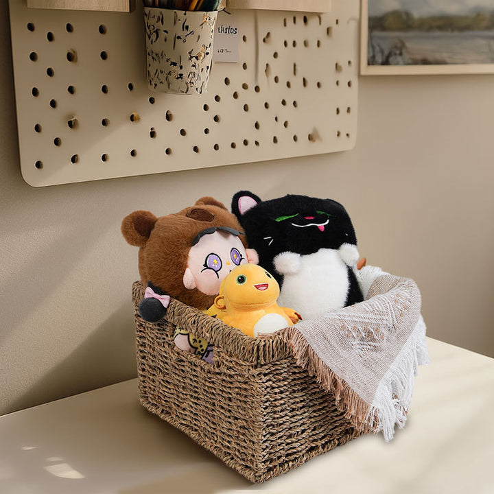 Woven Storage Cube Basket Bowlift