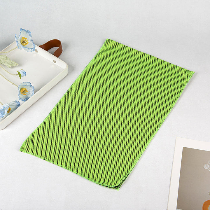 Ladies Microfiber Cleaning Cloth Bowlift