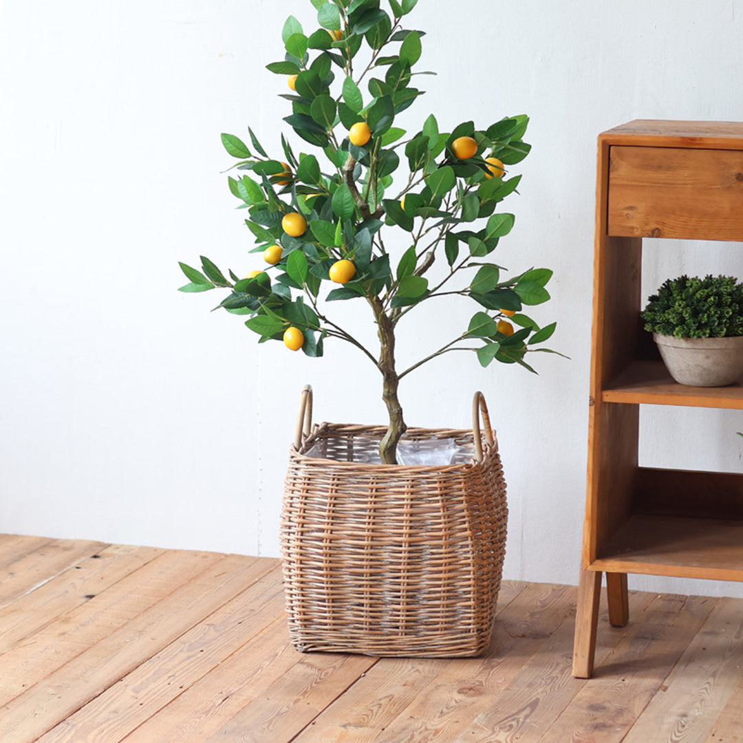 Basket with Handles Bowlift