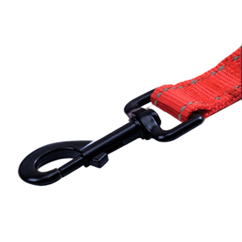 Durable Nylon Dog Leash