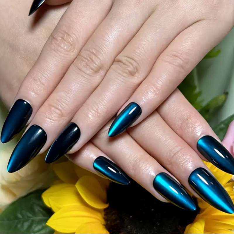 Elegant Glossy Stiletto Press-On Nail Set Bowlift