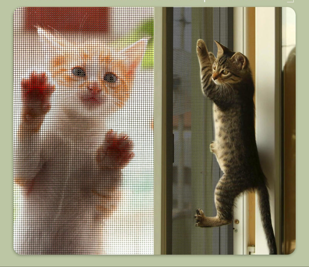 Cat Scratch Deterrent Window Screen Bowlift