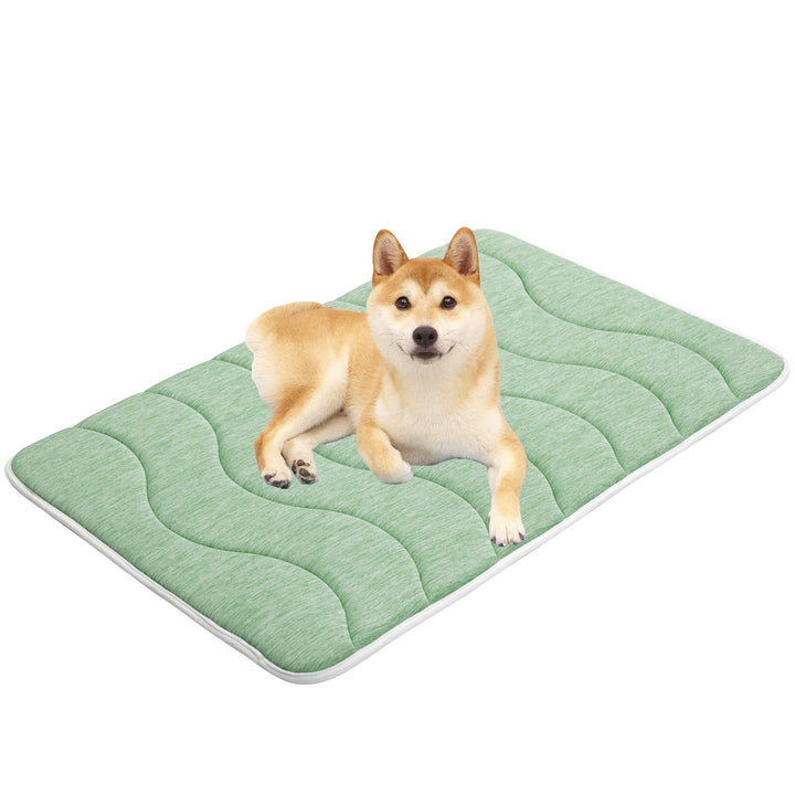 Ladies orthopedic dog bed Bowlift