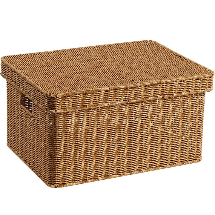 Handwoven Decorative Storage Chest Bowlift