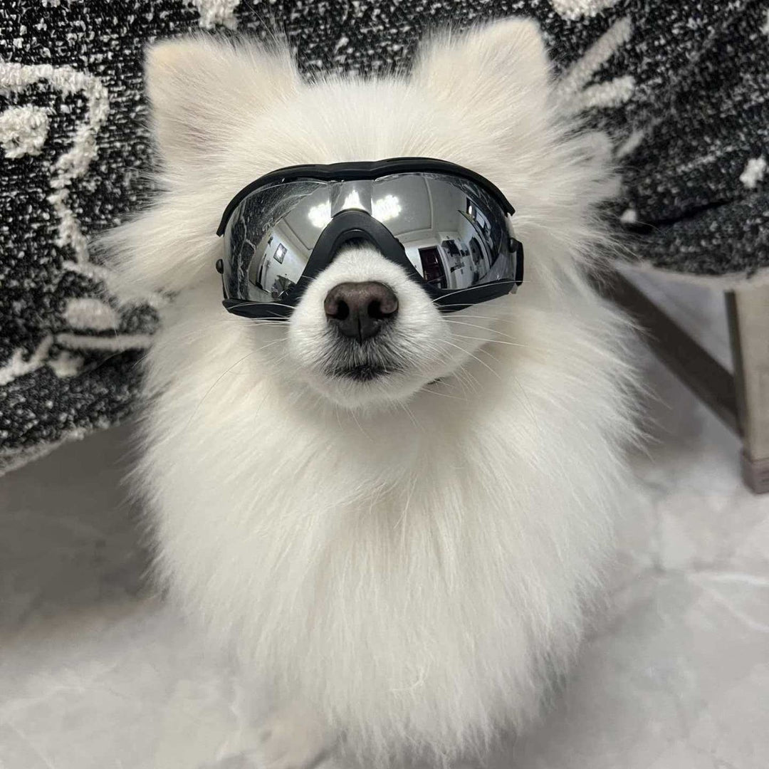 Pet Impact-Resistant Anti-Fog Motorcycle and Ski Protective Goggles Bowlift