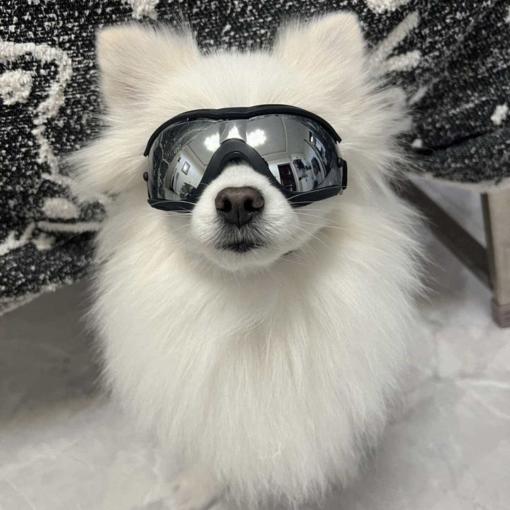 Pet Impact-Resistant Anti-Fog Motorcycle and Ski Protective Goggles Bowlift