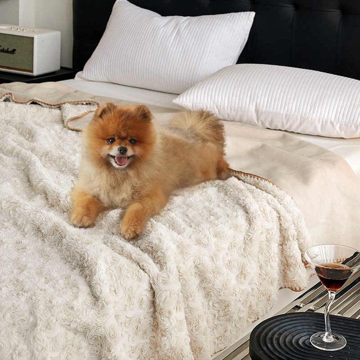 Ladies Cozy Blanket Bowlift