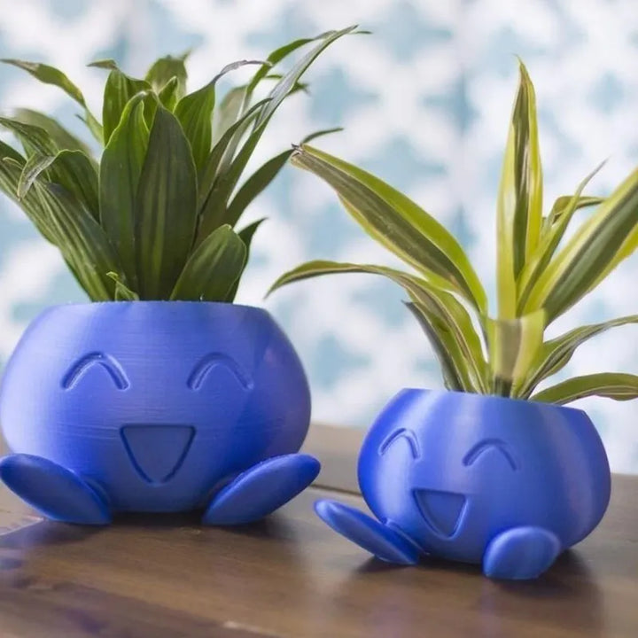 BowLift | Plant Pot – Ceramic Flower Pot with Face for Small Plants