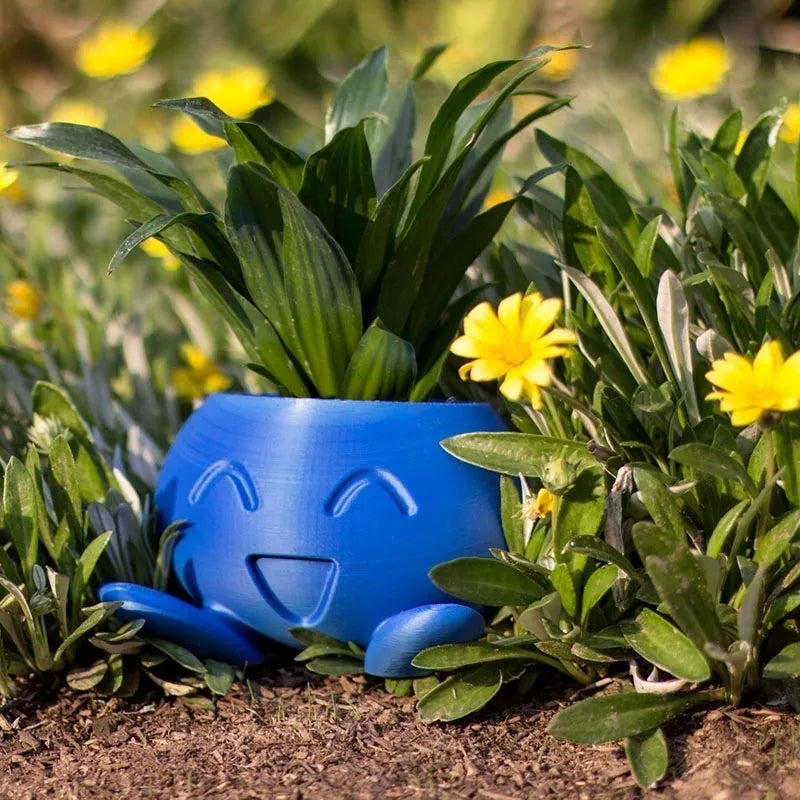 BowLift | Plant Pot – Ceramic Flower Pot with Face for Small Plants