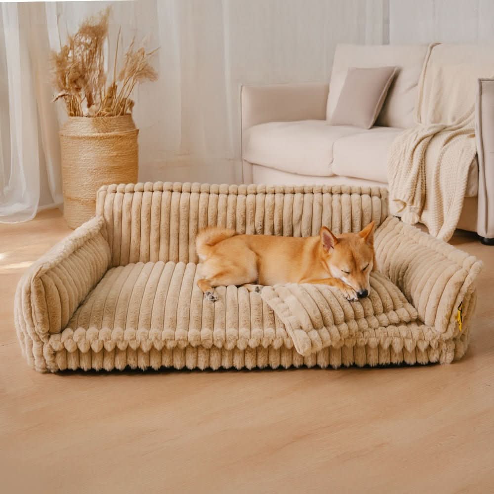 BowLift | Orthopaedic dog cushion with neck support & fluffy comfort