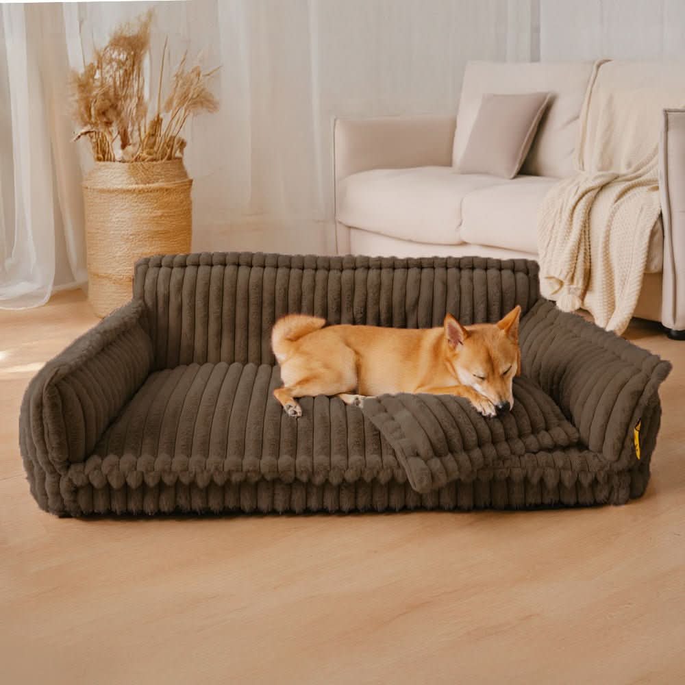 BowLift | Orthopaedic dog cushion with neck support & fluffy comfort