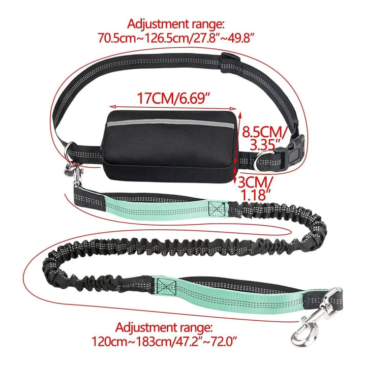 BowLift | Padded, Hands-Free Dog Leash for Training & Walks