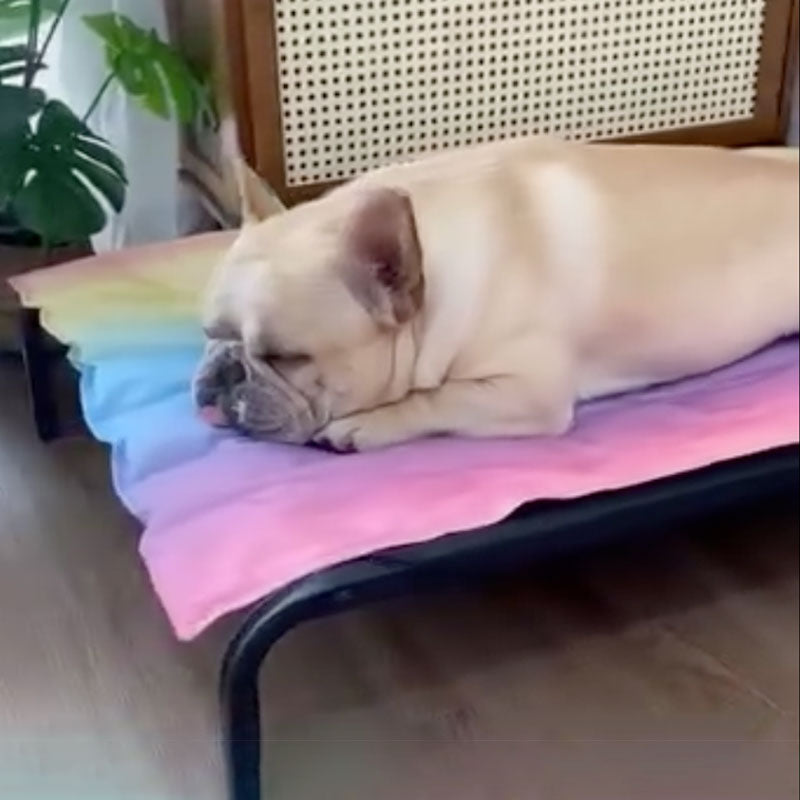 IcePup Frenchie Summer Cooling Mat with Advanced Ice Tech | Bowlift