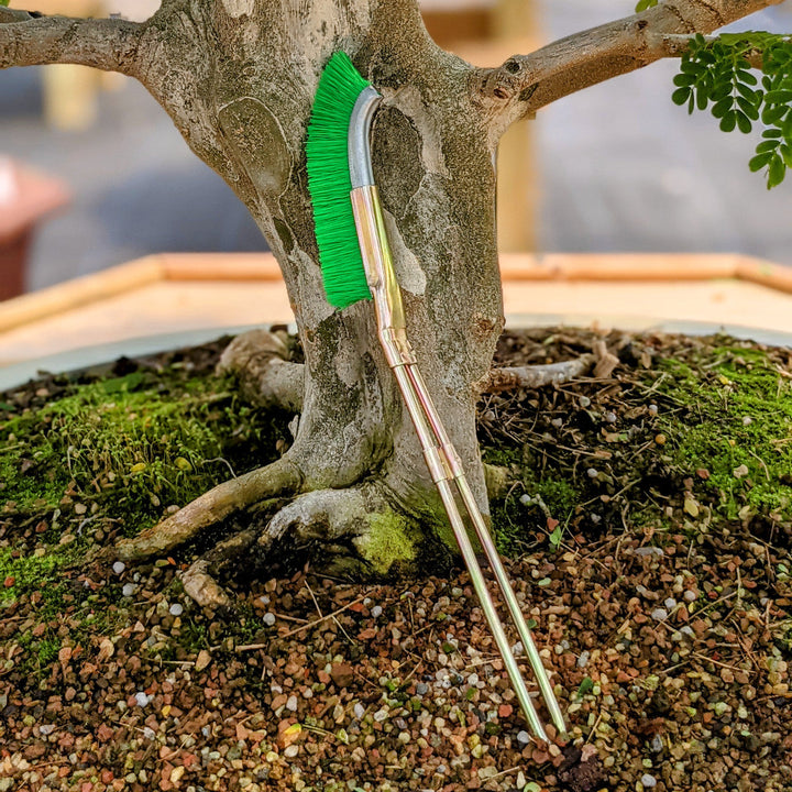 BowLift | Nylon brush for bonsai trunk area cleaning – garden care tool