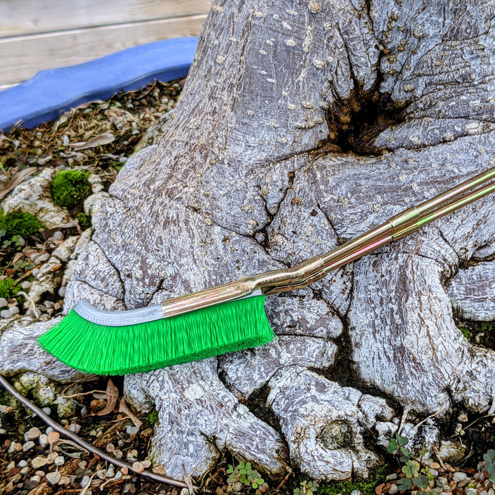 BowLift | Nylon brush for bonsai trunk area cleaning – garden care tool