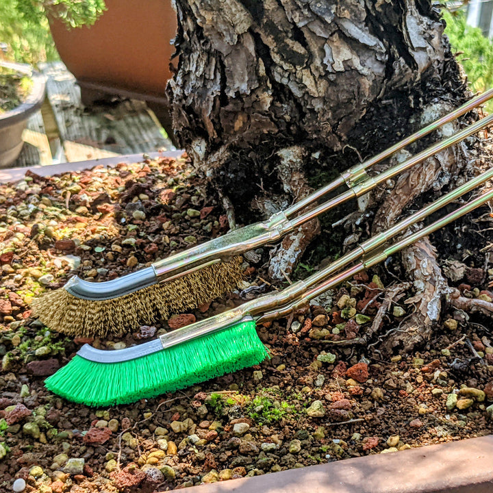 BowLift | Nylon brush for bonsai trunk area cleaning – garden care tool