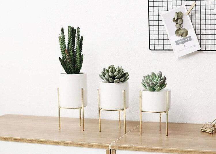 Pack of 3 mid-century floral planters Bowlift