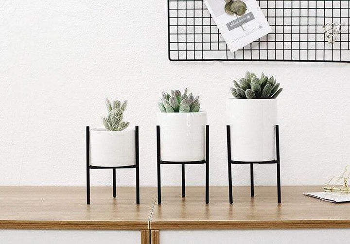 Pack of 3 mid-century floral planters Bowlift