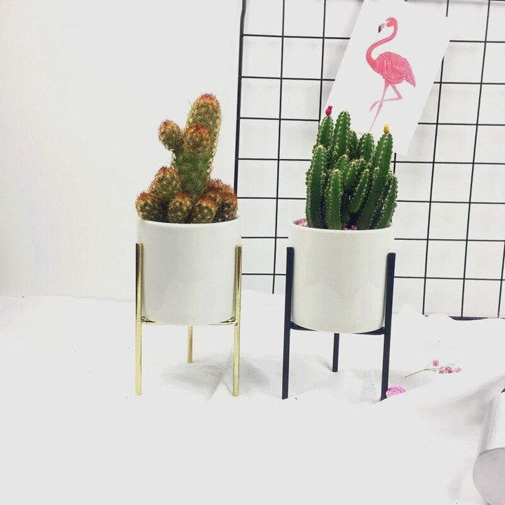 Pack of 3 mid-century floral planters Bowlift