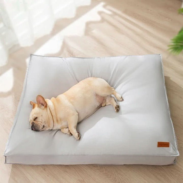 BowLift | Orthopedic Dog Bed Washable from Memory Foam, Waterproof and Scratch Resistant