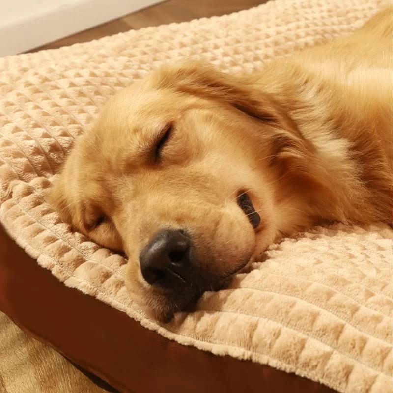 BowLift | Orthopedic Dog Bed with Optimal Support & Comfort