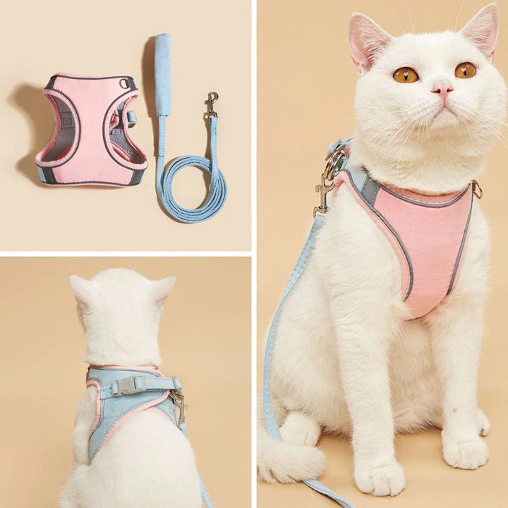 Cat Harness – Safe and Comfortable for Outdoor Adventures Bowlift