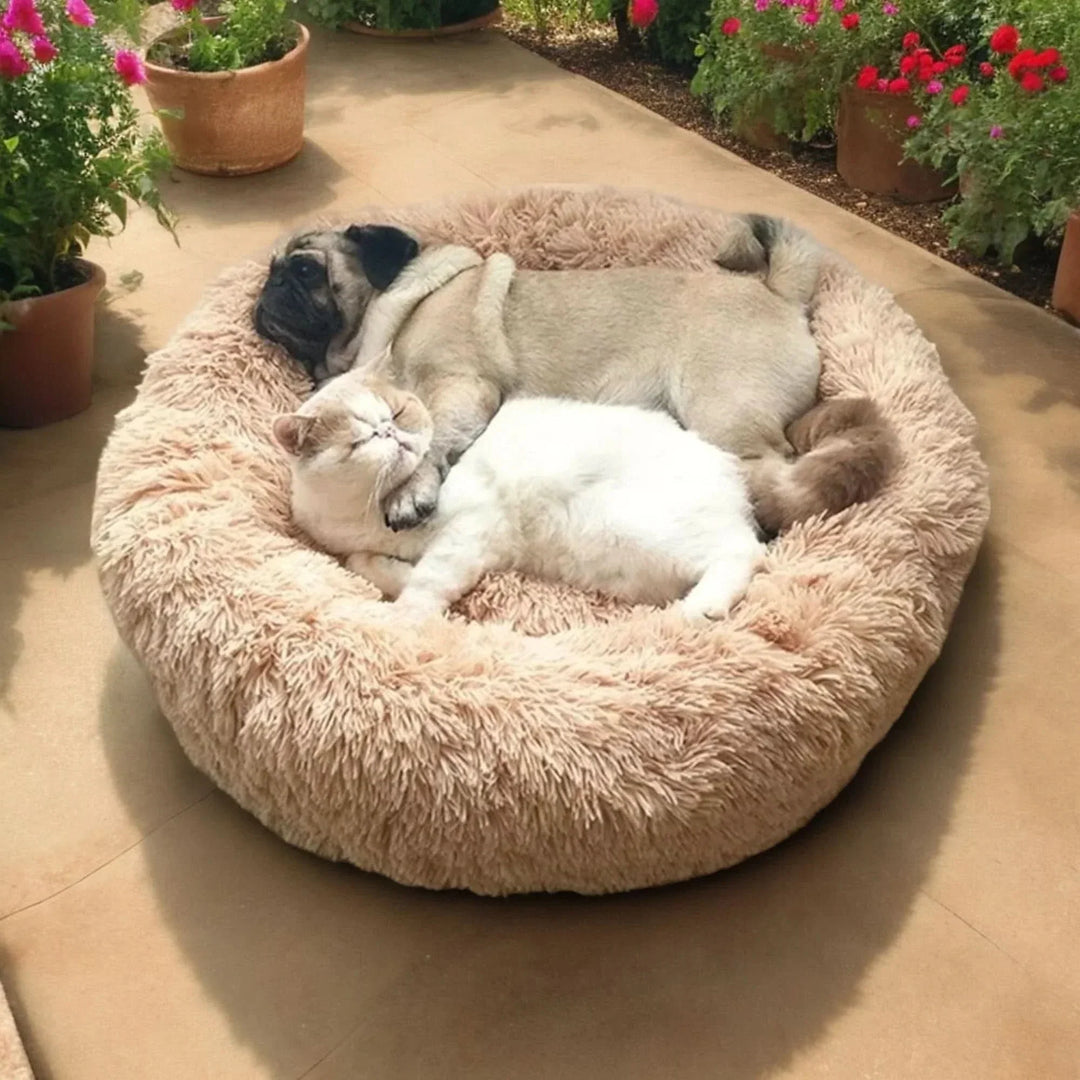 BowLift | RelaxPaw Comfort Bed – Super soft & calming for your dear one