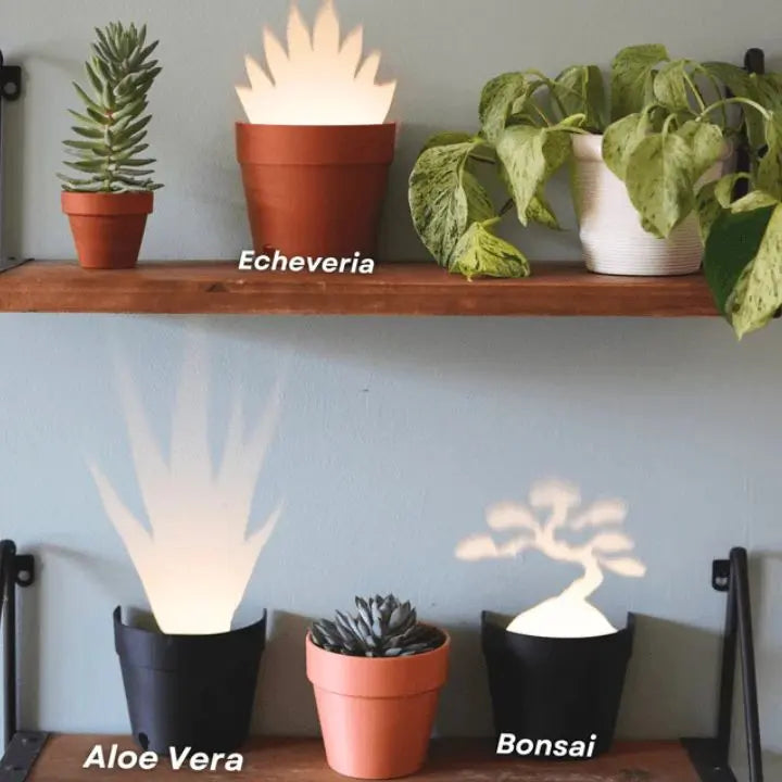 BowLift | Plant pot with 7 light projections for wall decor