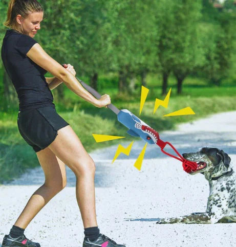 Interactive Tug Toy for Dogs – PlayBuddy Tug Bowlift