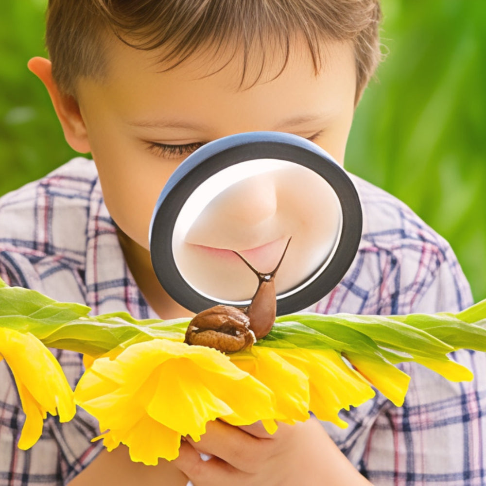BowLift | Magnifying Glass LED Light Handheld Reading Tool
