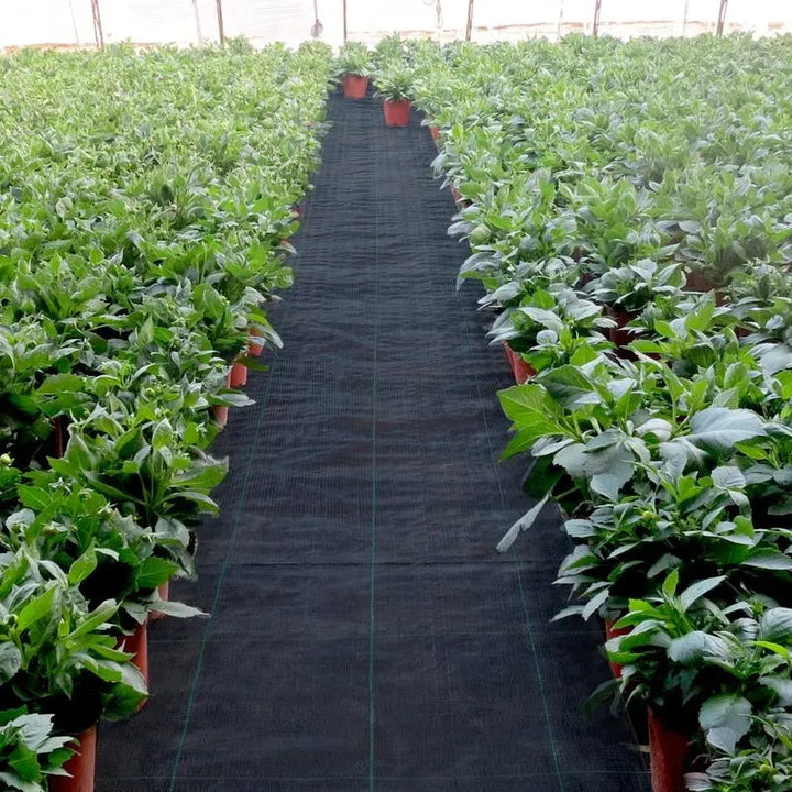 BowLift | Premium Weed Fabric – Long-lasting pRedection for your garden